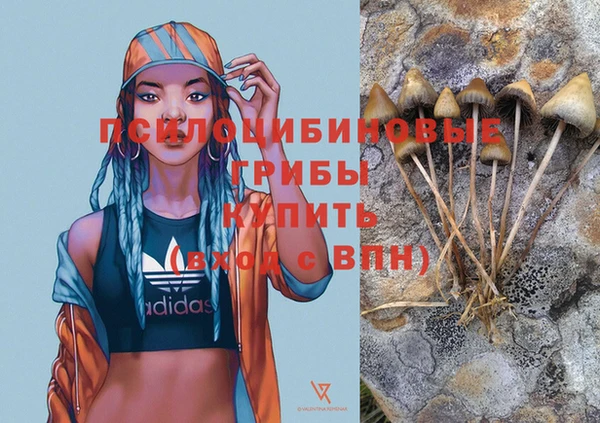 сатива Михайлов