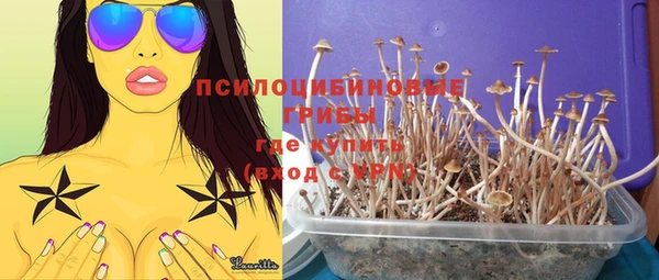 соль курить ск Михайловск