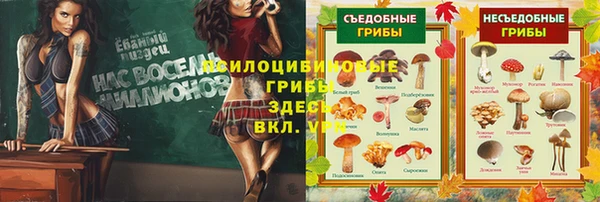 соль курить ск Михайловск