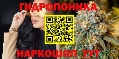 мет Будённовск