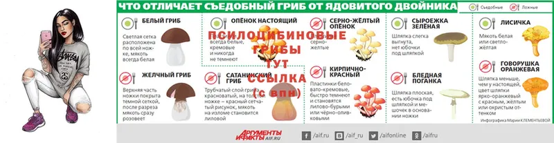 Псилоцибиновые грибы ЛСД  наркота  Дубна 