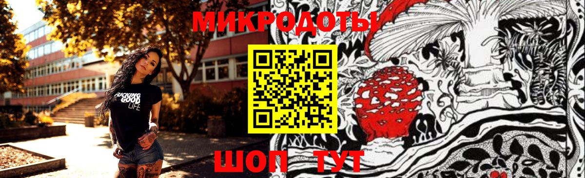 Псилоцибиновые грибы Psilocybe Дубна