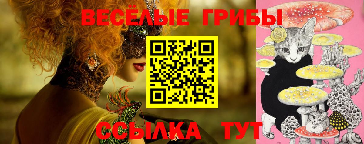 Псилоцибиновые грибы MAGIC MUSHROOMS  Вход с VPN  Дубна 